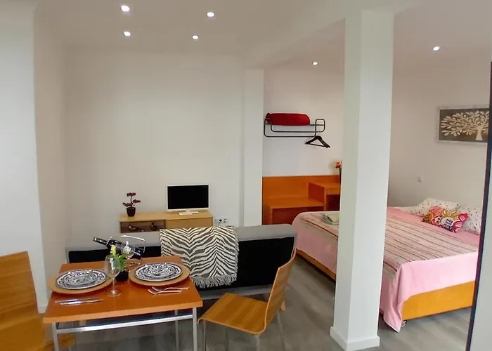 Vista ⅰ Apartment Funchal (Madeira)