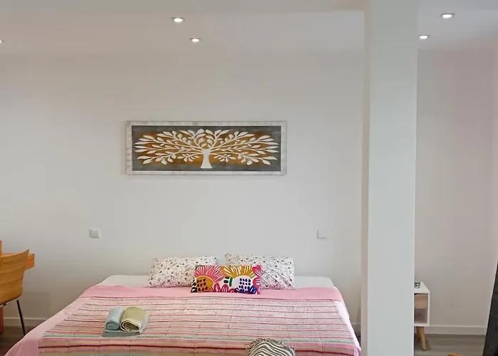 Vista ⅰ * 丰沙尔